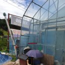 김영농장 | 양주CCTV 다육식물 농장 CCTV 설치 후기