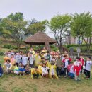 용인대 헬리오 태권도장 이미지
