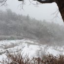 산고운펜션 이미지