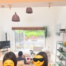 페트리코제주