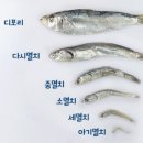 어부의식탁 이미지