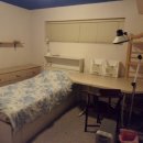 나니이모 이미지