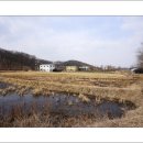 풍곡경로당 Daum카페