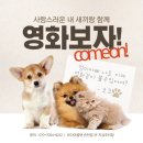 순천자동차극장 / 루프탑시네마 모다순천
