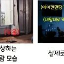 인싸들이 상상하는 혼자사는 사람 모습 이미지