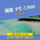 뉴월드공인중개사사무소 이미지