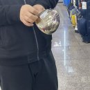 티노파이브구리 | 샵 추천] 마제스티 로얄 여성 드라이버 11.5도 L "티노파이브 구리(다우골프)"(feat. 시타실 굳/엄마 선물)