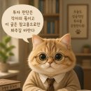 비트 삼성전자연수원점 | SK하이닉스 레버리지 ETF 지금 들어가면 안 되는 이유 — 고점 출시의 함정
