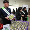 [新팔도명물] 천혜 자연속 결실 맺은 &#39;화성 송산포도&#39;