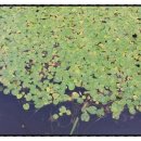 다산 행정사사무소 이미지