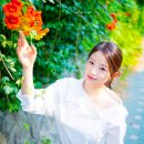 서안