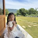 백동농장 | [양산카페, 소주동] 부산 근교 블루베리 체험 가능한 카페 ‘효효’ 아이와 체험 후기