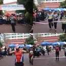 시각사랑
