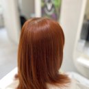 데이지엘