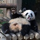 호남한의원 | 2025년 가을, 마라톤대회 잔혹사