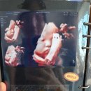 사림동164 이미지