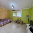 숲속의 계곡 이미지