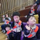 레인보우 버블쇼 이미지