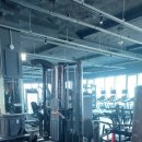 머슬피플 이미지