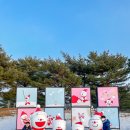 강원도 홍천 비발디파크 눈썰매장 스노위랜드 두번째 방문 후기