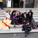 타코이야기 이미지