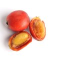 체리콩커피 이미지