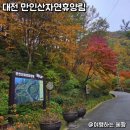 정기봉 | 대전 단풍 명소 추천 만인산자연휴양림 단풍 절정 실시간 현황