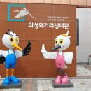 왜가리생태관 네이버블로그