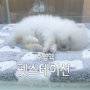 수영역 15번출구 | 강아지랑 가볼만한 곳? 부산 수영역 펫스테이션 솔직 후기