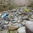 한라산둘레길 동백길 이미지