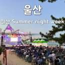 앙상블7080 | 울산 여름축제 추천 2024 일산섬머나이트위크 후기