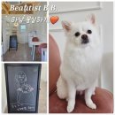 몽실하개 이미지