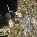 송추산장 이미지