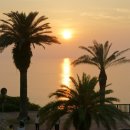 호텔자유 이미지