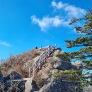옥룡면 동곡 진틀 주차장 | [전남 광양] 산림청 100대명산 백운산 단풍산행 진틀 신선대 상봉 최단코스