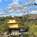 수원-0862 | 23년에 갔지만 아직도 쓰고 있는 오-사카 7박8일 추억여행 4일차_교토 버스투어