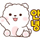 스테이 이공 이미지