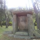 부산대학교 박물관 이미지