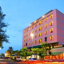 상스(SAENS) 이미지