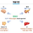 디앤디 이미지