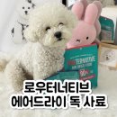 맘마독 | 기호성 좋은 강아지 사료 추천 로우터너티브 에어드라이 독 솔직 후기