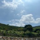 진영리라어린이집 이미지