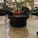 영천영화뜰