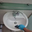 크린프랜드 이미지