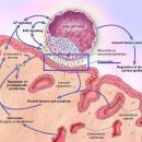 침향부부한의원 이미지