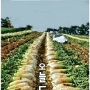 더자람베이커리