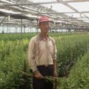 문금 농장 이미지