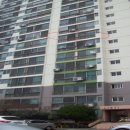 사하구 다대로381번길 이미지