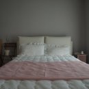 유로보이지 이미지