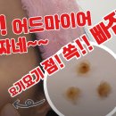 마이포텐 이미지